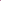 CAZADORA FUCSIA